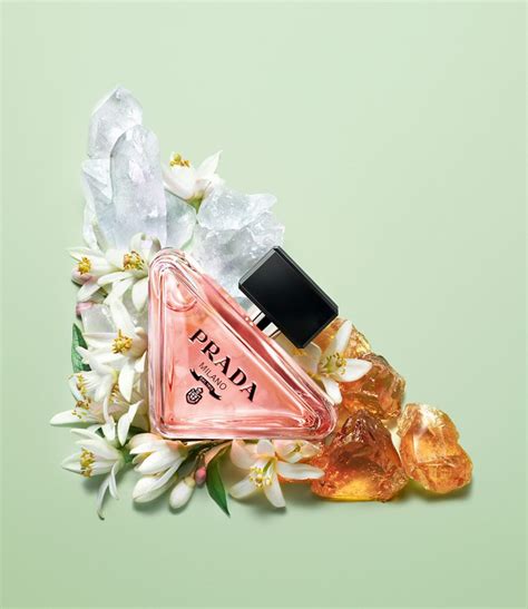 l oreal buys prada